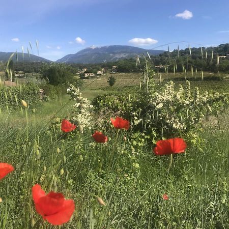 Le Mas De Colongene Faucon Kültér fotó
